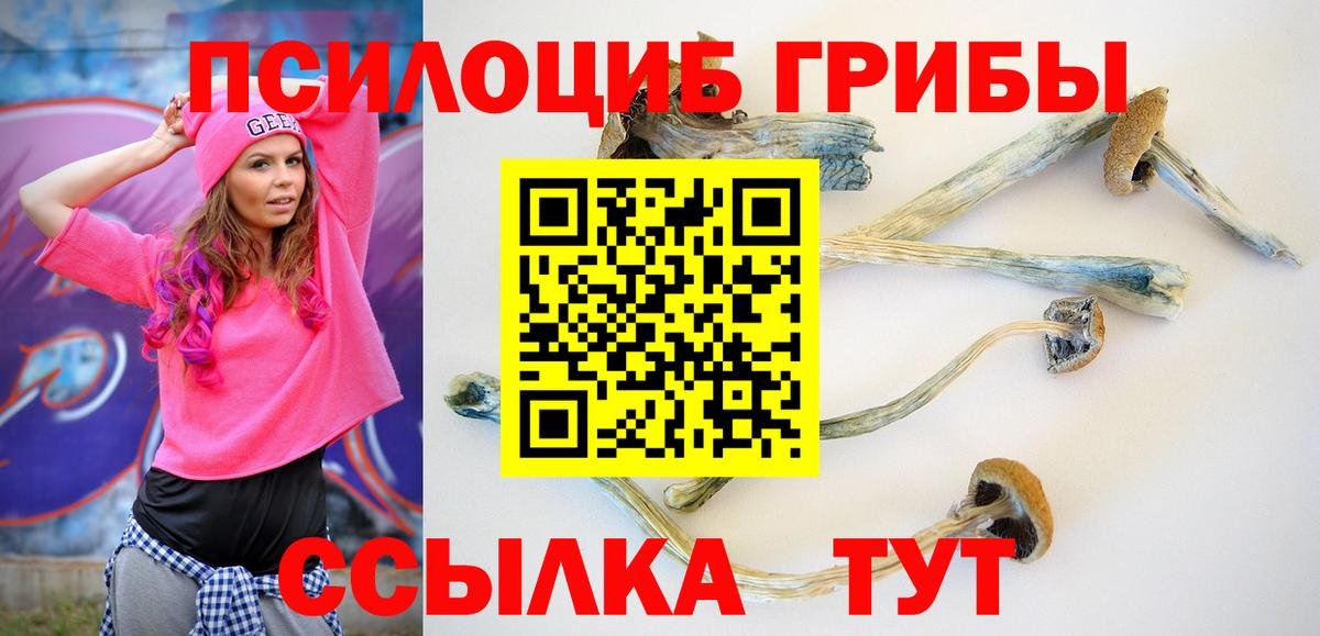 Псилоцибиновые грибы прущие грибы  Вход с VPN  Грязи 