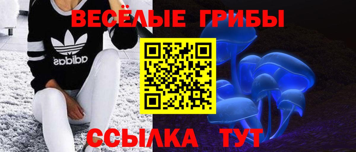 Псилоцибиновые грибы мицелий Грязи